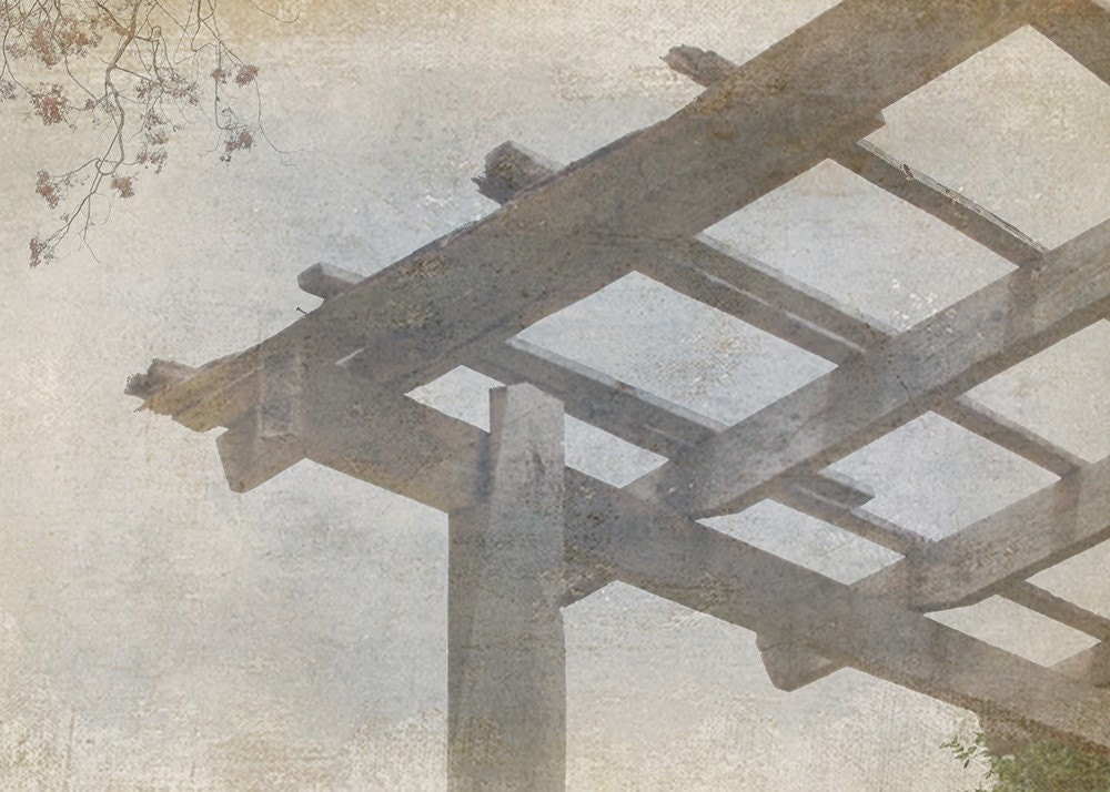Sky Photograph - Looking Up - Israel Sky Cloud Pergola Roof Cloud Wood Brown Gray Blue Fine Art Photograph