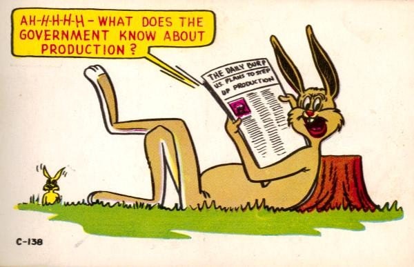 Rabbit Humor