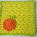 Citrus Crochet Dish Cloth Set