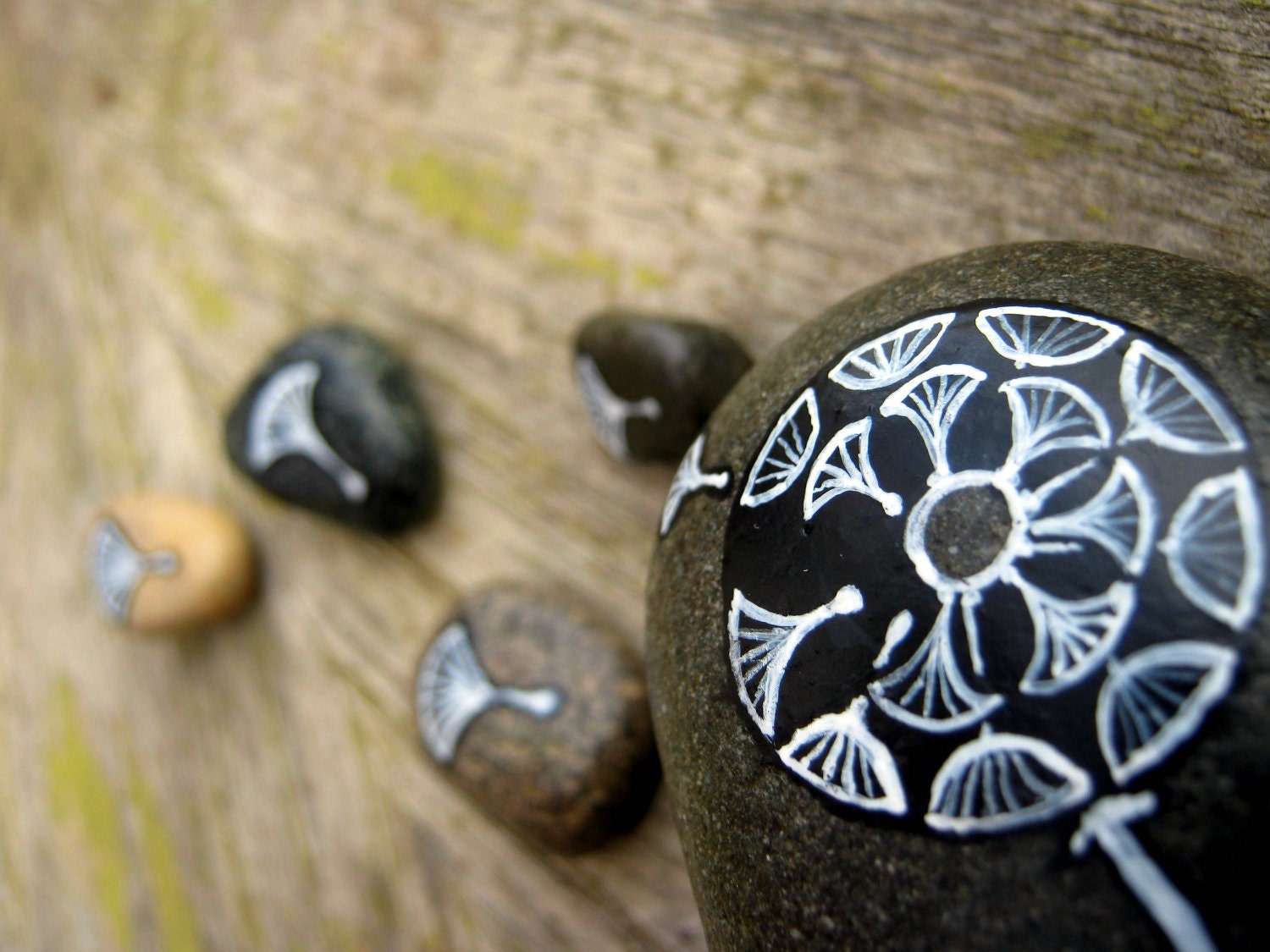 Painted river stones by Pete Sandker, featuring dandelions, spore, pebbles, tribal