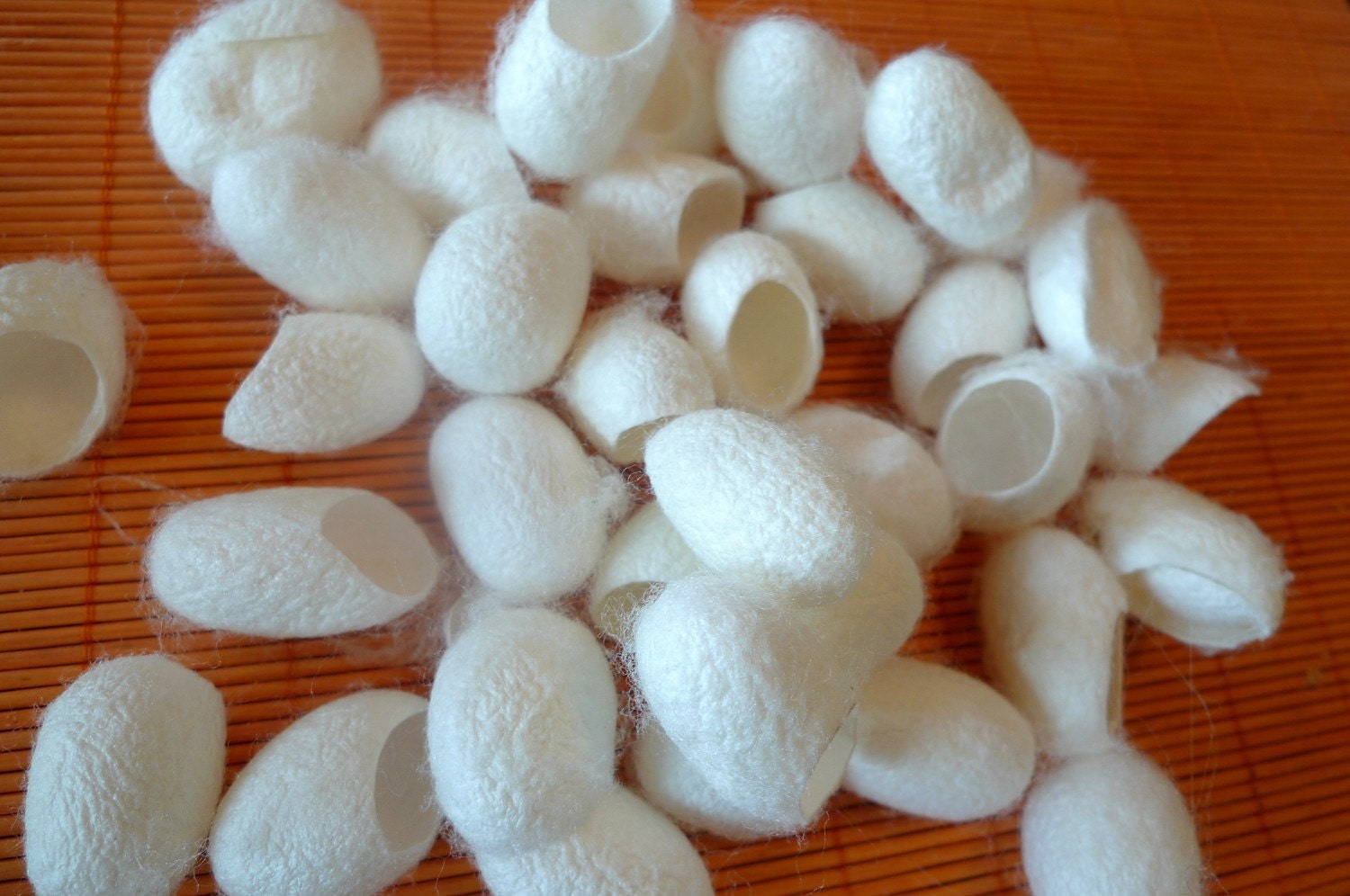 50 pieces natural white cocoons for make felting, flowers, beads, jewelry or yarn ...