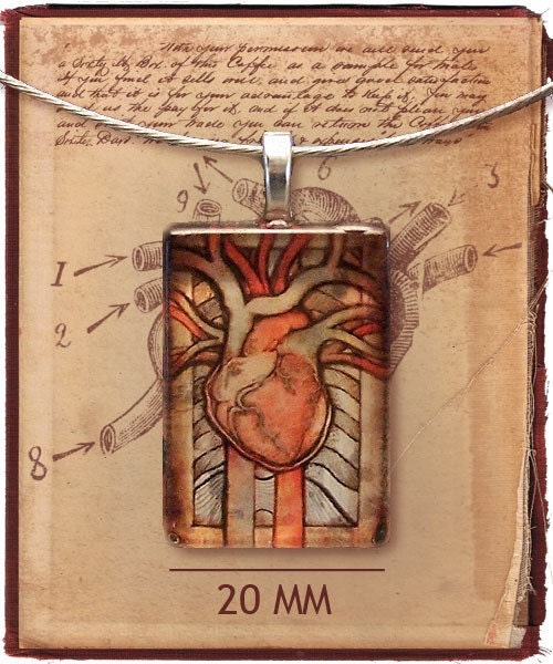 Illustrated Anatomical Heart Glass Pendant