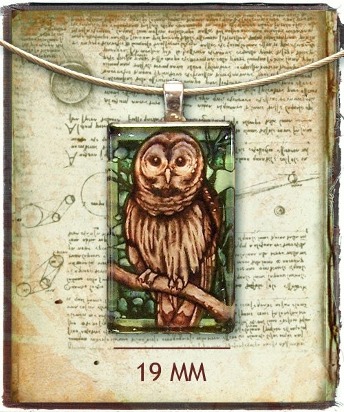 Illustrated Barred Owl Glass Pendant
