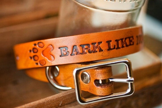 READY to SHIP - Leather Dog Collar - Bark Like No One Is Listening - MEDIUM - fits neck sizes from 16 to 20 inches