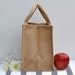 Nom Nom Lunch Bag