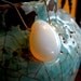 The Stargazer's necklace - Free Shipping