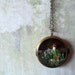 Through the Looking Glass - Woodland Terrarium, Moss, Toadstool Musrooms Brass Locket Necklace