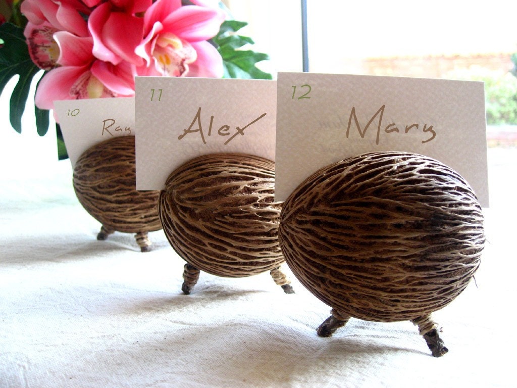 Eco-friendly seed pod place card\/ name card\/ flower bud holder