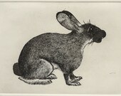 Fran Hrair-roo Rabite