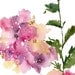 Hydrangea Flower Watercolor, Fine Art Print 8.5x11, Watercolor Flowers