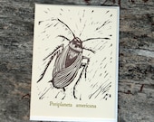 Palmetto Bug Card