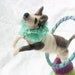 Ooak- Spun Cotton Decor - Jack Russell Terrior- Circus Dog -Hula Hoop-