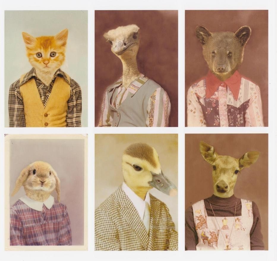 Picture Day Series, 8 wallet size prints