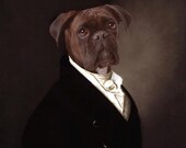 Portrait of Brutus - 13 X 19 Fine Art Print