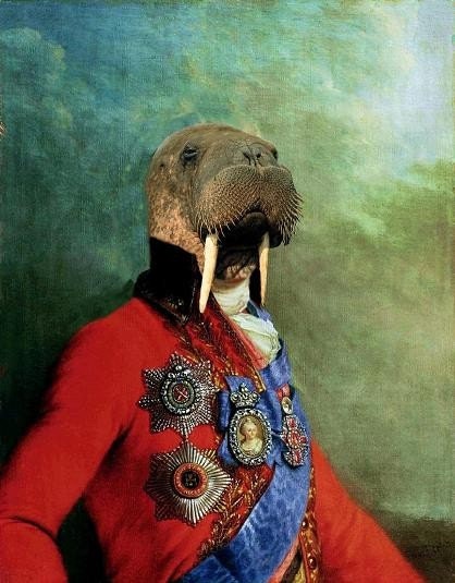 Sir Odobenus Rosmarus Portrait - 8 X 10 Fine Art Print