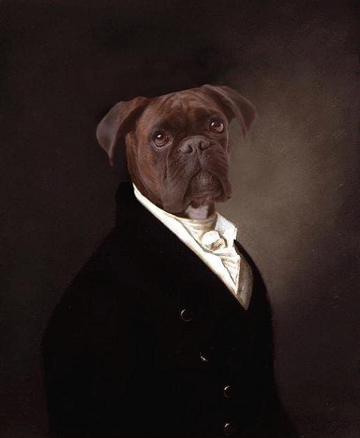 Portrait of Brutus - 13 X 19 Fine Art Print