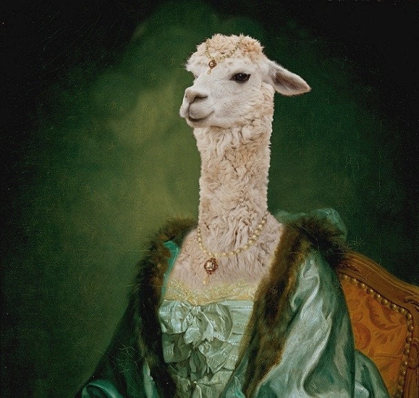 Imperatrice Vicugna - 8 X 10 Fine Art Print