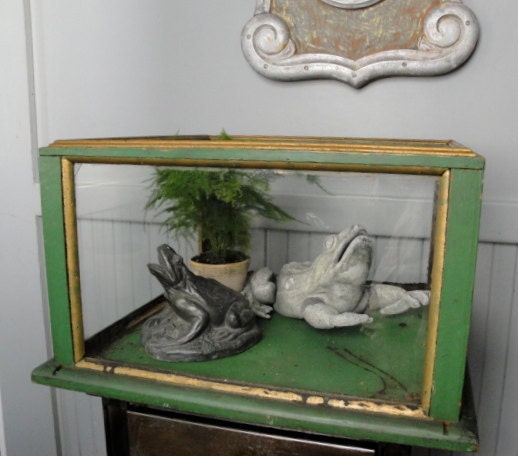 Vintage wood and glass display case terrarium