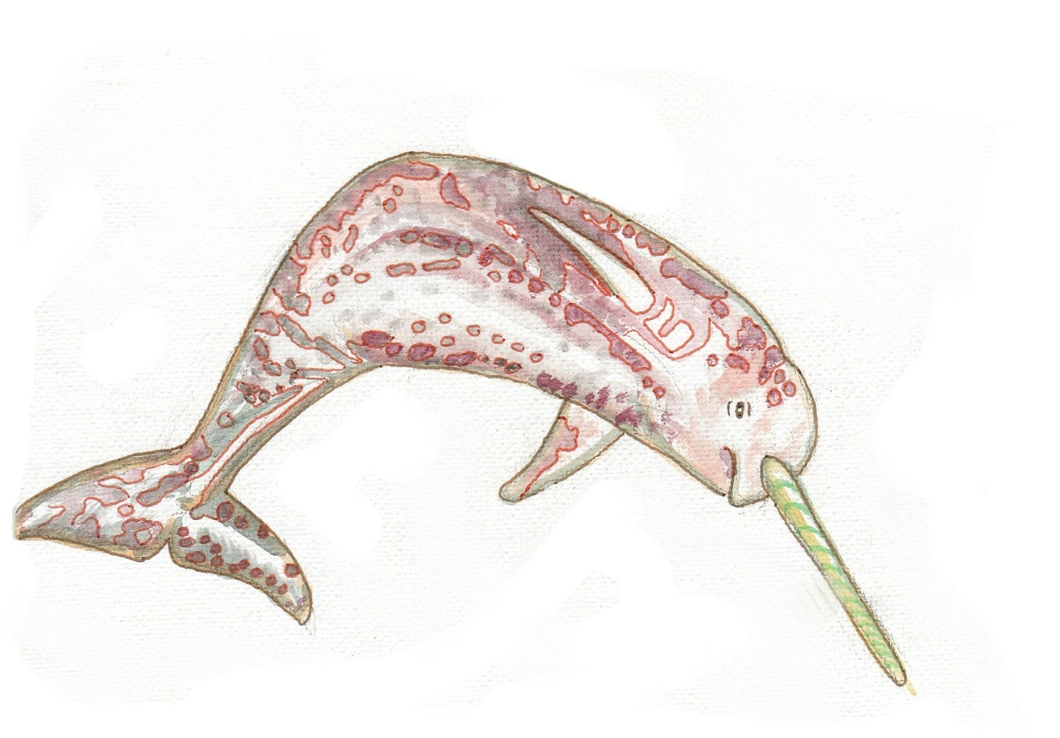 Horned Whale Narwhal