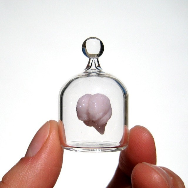 Brain in a Jar, Hand Blown Glass Miniature, Anatomically Correct Brain - kivaford