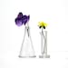 Chemistry Set, Miniature Hand Blown Glass