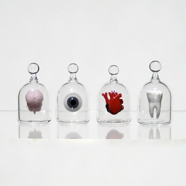 Anatomical Heart in a Jar, Hand Blown Glass Miniature, Anatomically Correct Heart