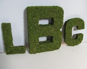 SET OF 3 Woodland Moss Covered Wedding Monogram Letter's  - Using Eco-Friendly Materials Ceremony Door Decor