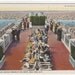 Rockefeller Center Roof Deck New York City linen postcard