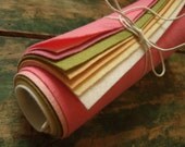 9x12 Wool Felt Sheets - The Cupcake Collection - 8 Sheets of Felt