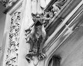Gargoyle art structural decor building mythology Biltmore NC stone statue roar Just watching from over here fine art photograph