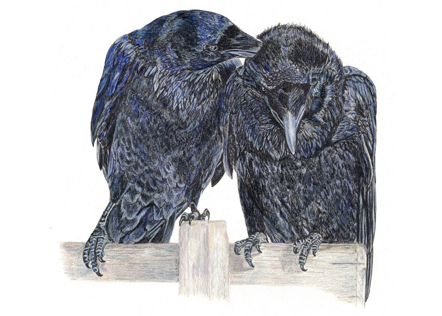 Ravens of Truth and Memory