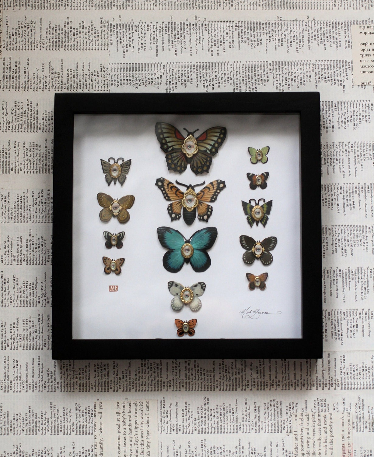 Cabinet of Curiosities Specimen no. 2 -The Moth Eye Flies - original 3D insect paintings by Mab Graves