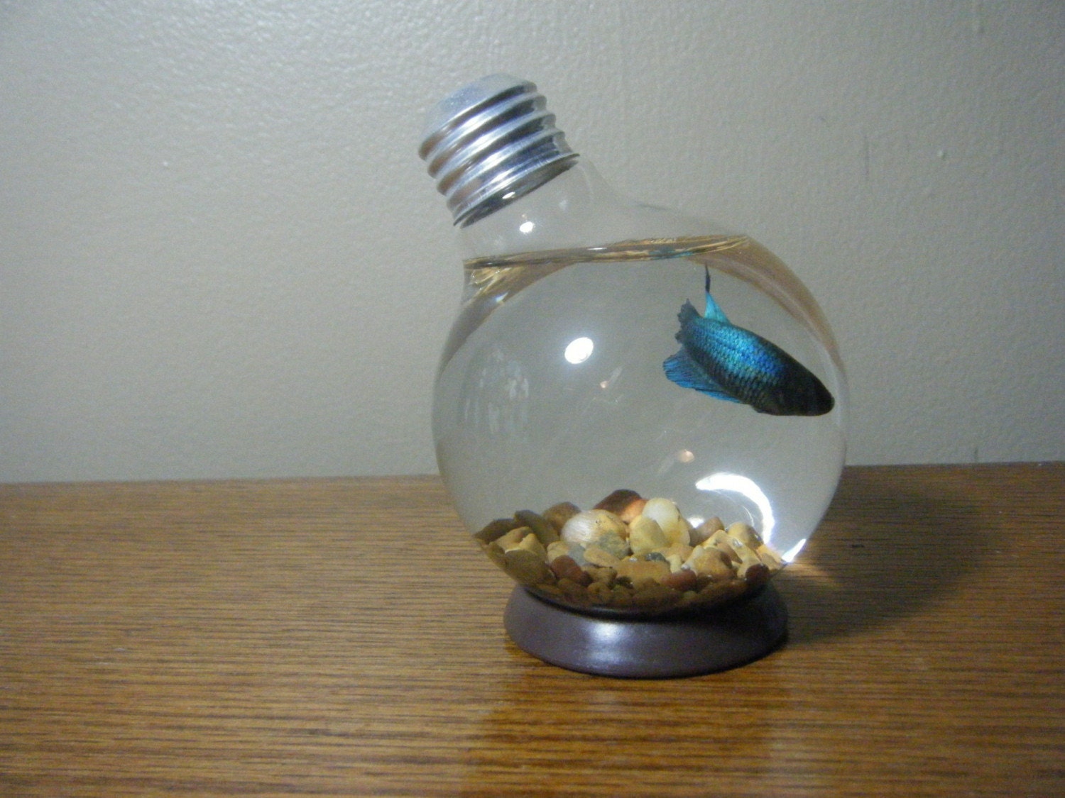 Repurposed Round Lightbulb Vase (or Fishbowl)