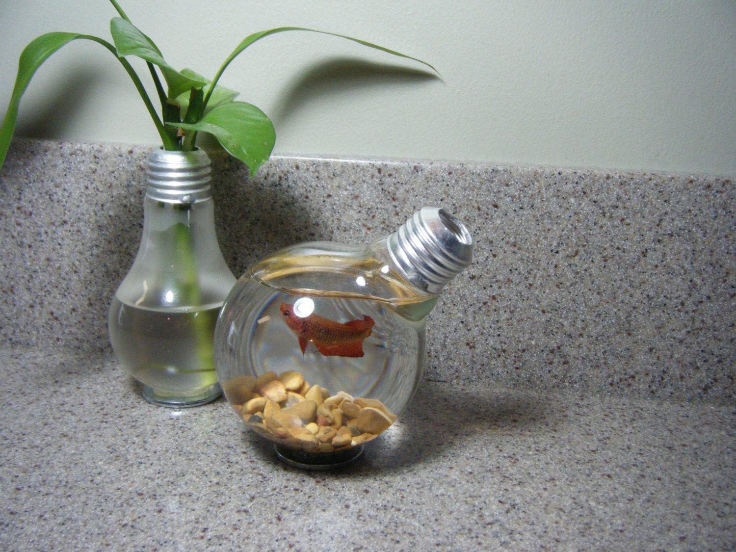Repurposed Round Lightbulb Vase (or Fishbowl)
