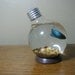 Repurposed Round Lightbulb Vase (or Fishbowl)