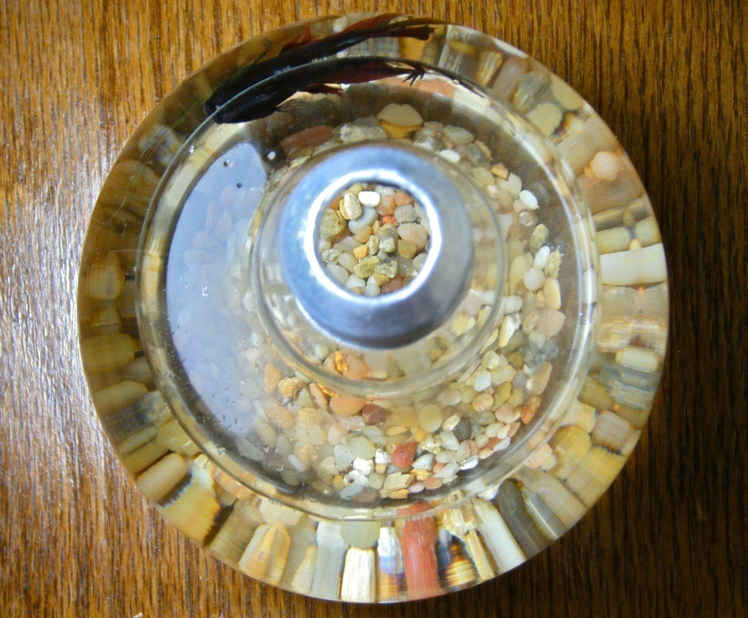 Large Lightbulb Fishbowl