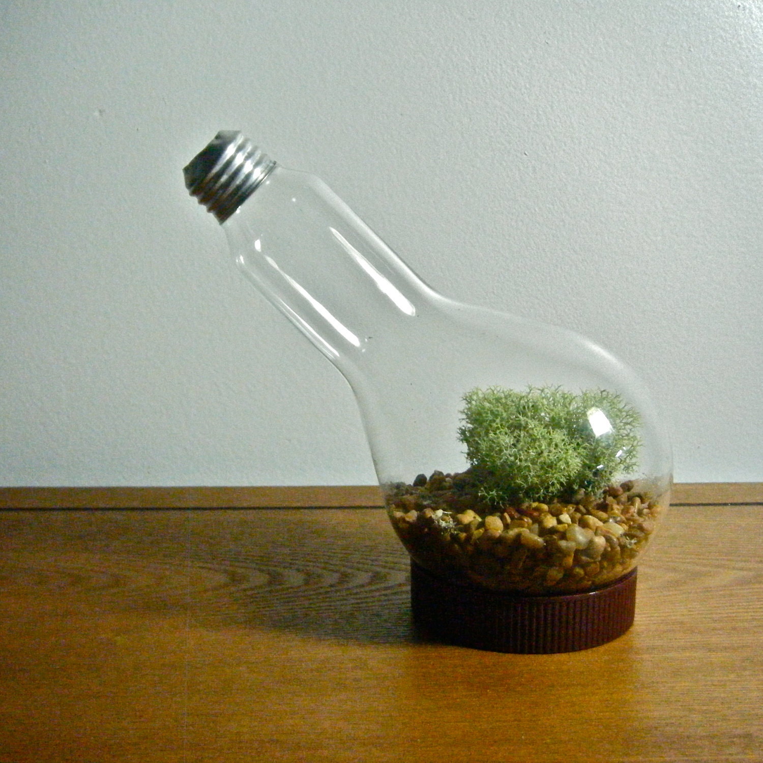 Repurposed Lightbulb Vase / Terrarium (beaker lightbulb)