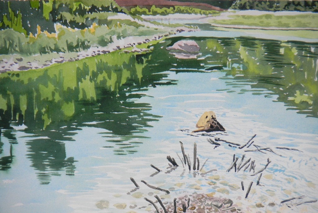 Hill Country River