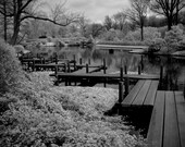 Garden of Pure, Clear, Harmony and Peace infrared print.