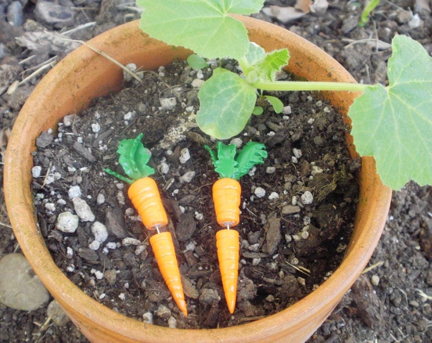 Carrot Fake Gauge Earring