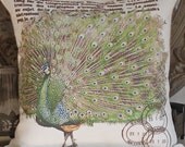 SALE Peacock post card