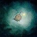 a light in the dark - cute angler fish, icon of hope in a deep dark and troubled ocean