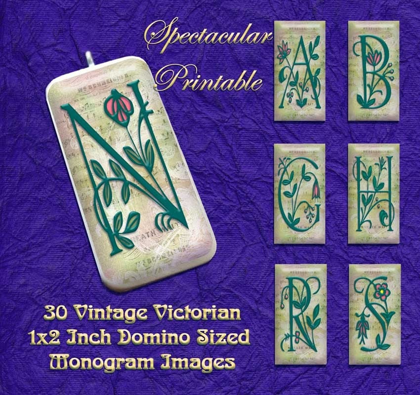 INSTANT DOWNLOAD- Floral Monograms 1x2 inch Digital Domino Collage Sheet Images - Teal Green Monogram with Pink Flowers D1002