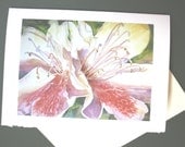 Azaleas, Note Card, 5 x 7, Blank, Greeting Card, Spring, Flowers, Florida, Watercolorsnmore