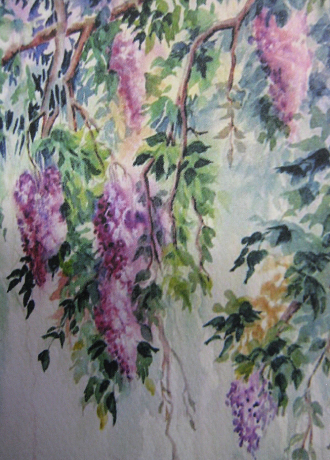 Wisteria Vines ACEO, Wisteria Vines Print, Watercolor print, 225 lavendar, purple