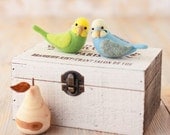 DIY handmade felt wool Rainbow Parrots --- Japanese kit package