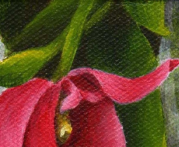 Framed Flower Painting Spring Floral Garden Art Pink Tulip