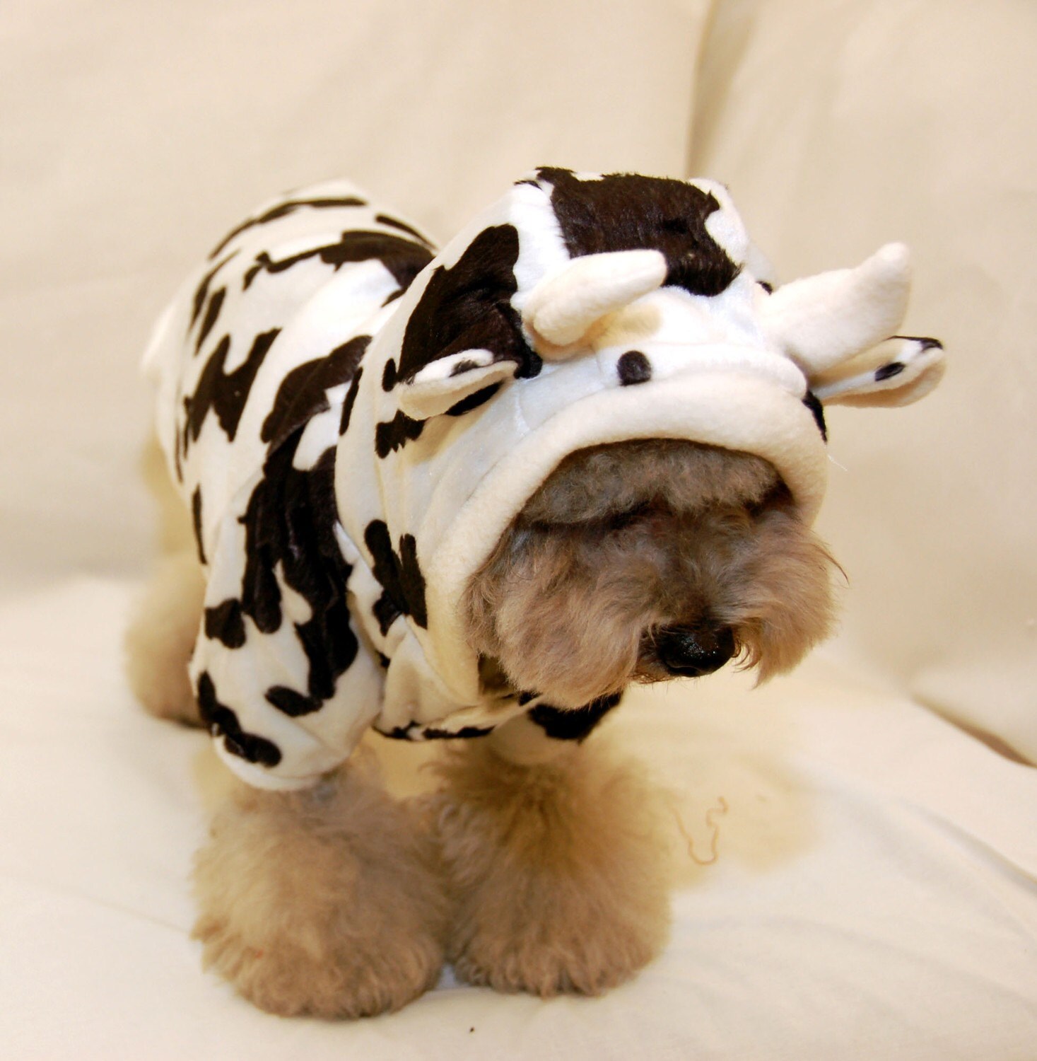 Dog Cow Costume