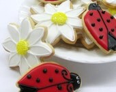 Ladybug and  Daisy Cookies