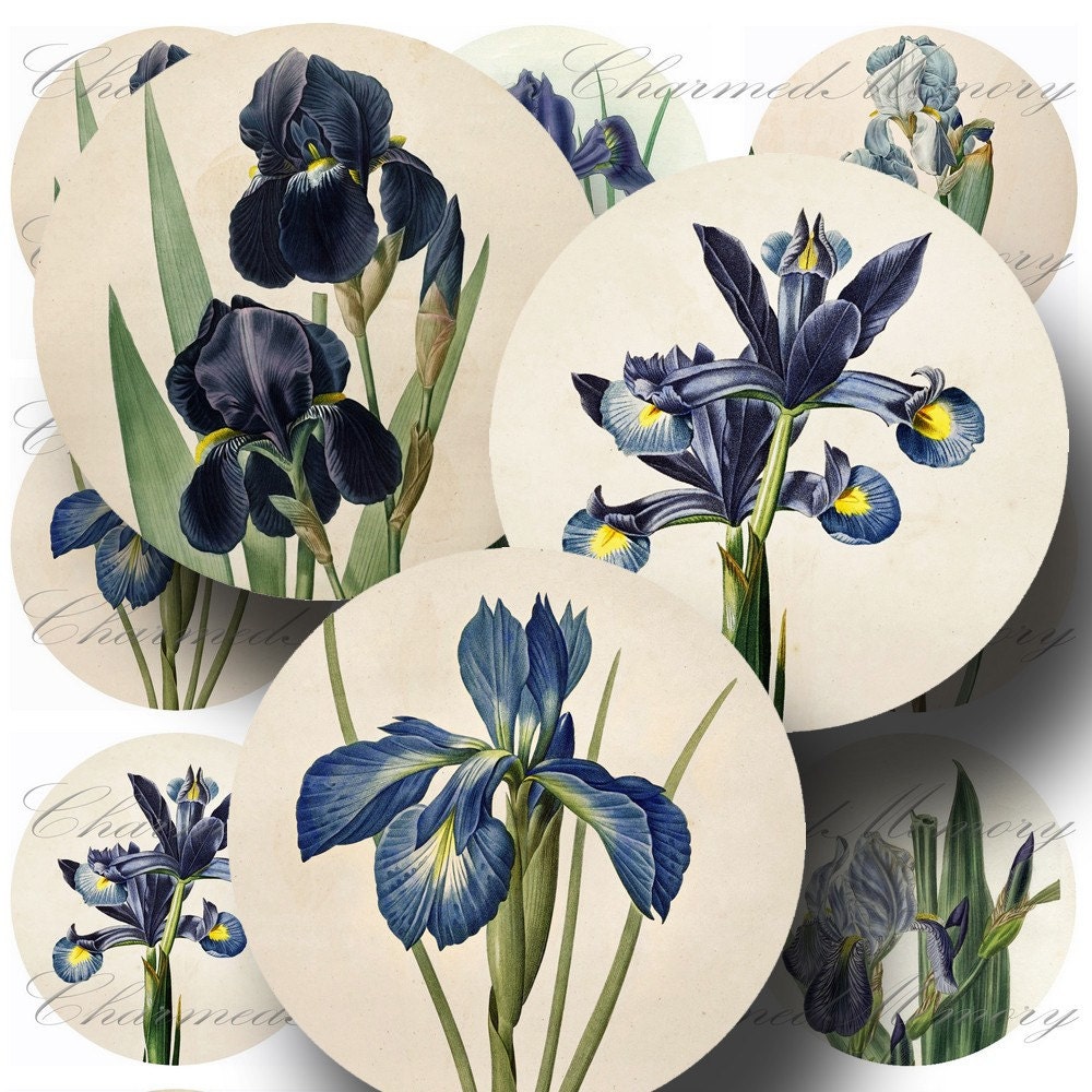 Antique Botanical Blue Iris for Pocket Mirrors (1) - Digital Collage Sheet - 2.5 Inch Round - Buy 3 sheets and get 4th FREE